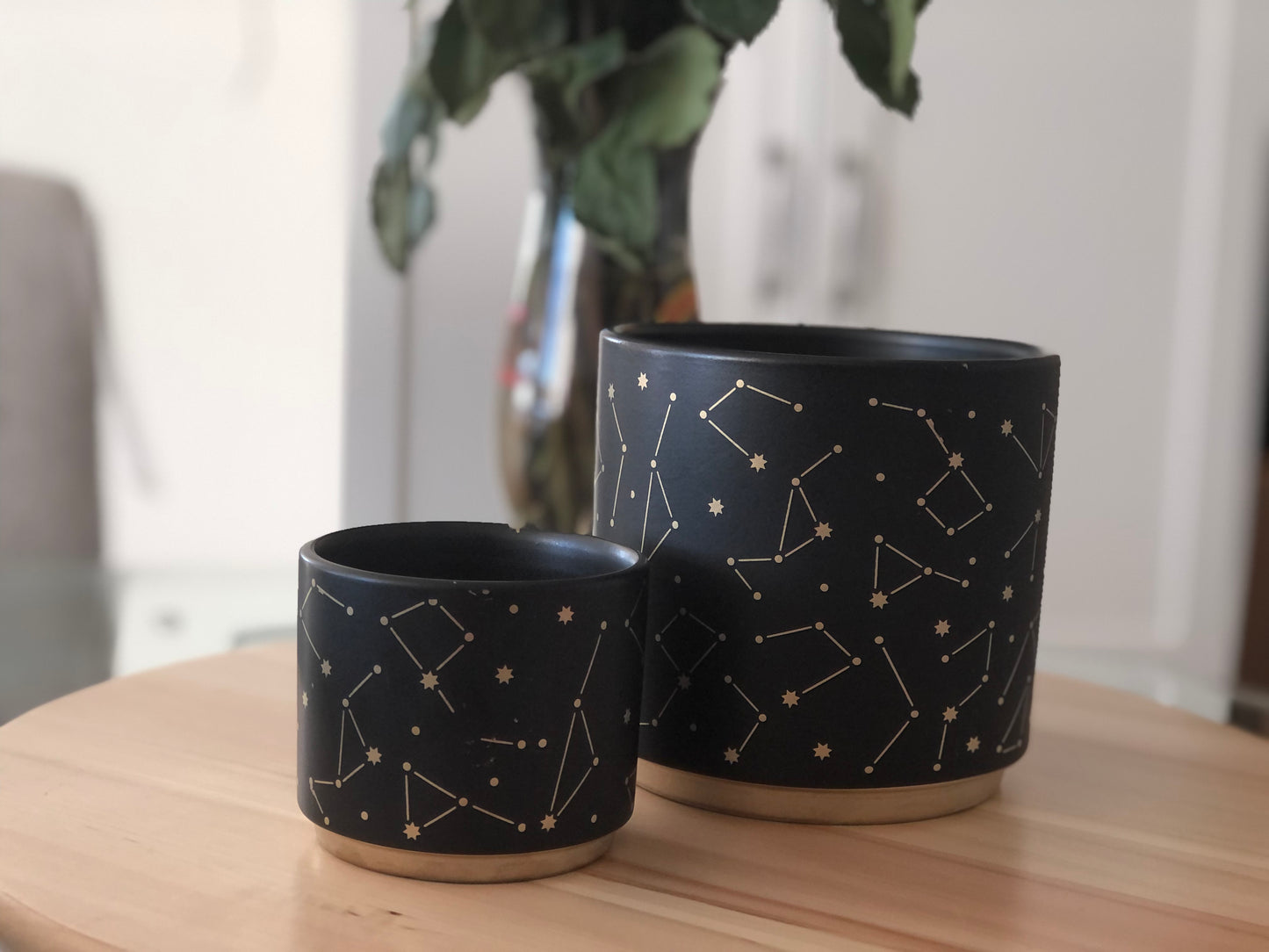 Constellation Astrology Plant Holders